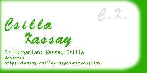 csilla kassay business card